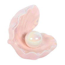 Load image into Gallery viewer, Iridescent Clam Shell Coastal Trinket Dish
